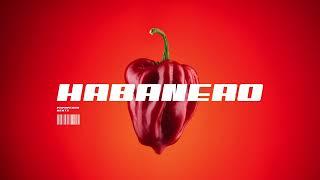 [FREE] Latin x Techno Type Beat - "HABANERO" | Speed House Club Banger Prod. PapaPedro Beats