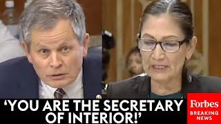 'You're In The Line Of Succession!': Daines Absolutely Stunned By Haaland's Inability To Answer