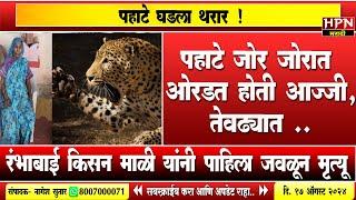 Leopard attack : पहाटे जोर जोरात ओरडत होती आज्जी ,मागून जोरात ... | HPN MARATHI NEWS