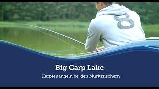 Big Carp Lake - Karpfenangeln bei den Müritzfischern