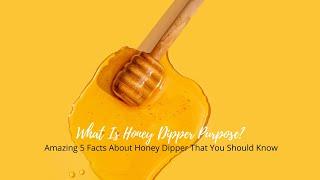 What Is Honey Dipper Purpose? Amazing 5 Facts About Honey Dipper That You Should Know