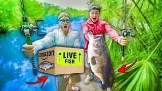 1v1 AMAZON.com Live Bait Fishing CHALLENGE (BIGGEST FISH WINS)