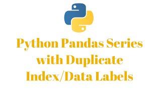 Python Pandas Series with Duplicate Data Labels/Indexes