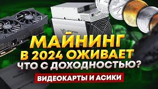 Майнинг в 2024 оживает! Что с доходность? На чем удалось заработать, доход от майнинга в 2024 году