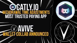 AVIVE WALLET CONFIRM | CATLY PAYMENT TIMINGS #avivemining #catly