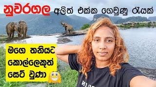 මගෙ තනියට කොල්ලෙකුත් සෙට් වුණා  | Nuwaragala Hike – A Thrilling Adventure with Elephants! 