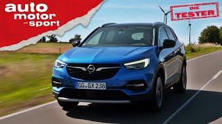 Opel Grandland X: Ein echter Opel? - Test/Review | auto motor und sport