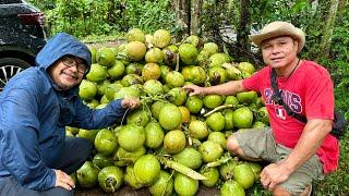 Buko na Nabibili sa Supermarket na Super Mahal! Dito pala yan Nanggagaling