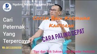 Cara Cepat Karyawan Kantoran Bisa Sukses Jadi Breeder Perkutut - Tips & Trik ala Owner D'blue BF