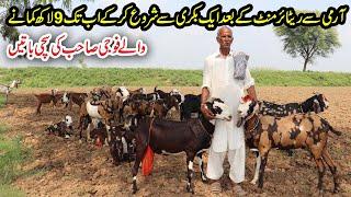 Goat Farming | 9 Lac Earning From Goats Starting From 1 Goat | Desi Goats Farming Tips