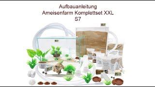 Aufbauanleitung Ameisenkomplettset Ameisenfarm S7 & XXL & XL