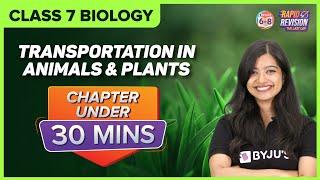 Transportation in Animals and Plants| Full Chapter Revision under 30 mins | Class 7 Science