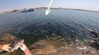 Ballona creek-Marina del rey jetty fishing   #jettyfishing #sandbass #longbeach