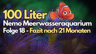 100 Liter Meerwasseraquarium - Folge 18 - Mein Fazit nach 21 Monaten