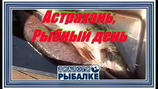 Диалоги о рыбалке - 009/  Астрахань,  Рыбный день!