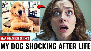 I Died & Jesus Showed Me The Truth About  My Pet That Will Shock You - Mind-Blowing NDE