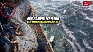 Geger!! Ular Raksasa Misterius Tertangkap Para Petugas Saat Menyusuri Laut, Bikin Merinding...