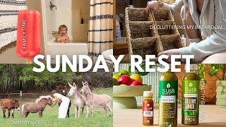 SUNDAY RESET VLOG  decluttering, clean with me, grocery haul (healthy girl era)