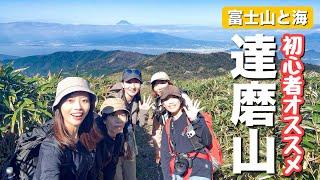 【楽ちん富士山の絶景】初心者オススメ！伊豆の絶景海と富士山が見える達磨山