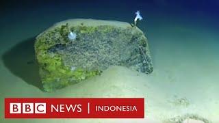 Ekspedisi Palung Mariana: Ada sampah plastik di kedalaman 11 km bawah laut - BBC News Indonesia