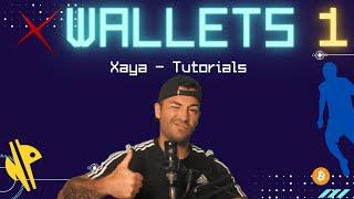 Xaya crypto wallets - ElectrON vs ElectrUM? explanation & tutorial