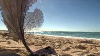 Plan Your Visit: Dry Tortugas National Park