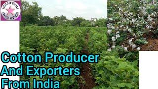 Cotton farms in India ll NIHAR EXIM ll International business