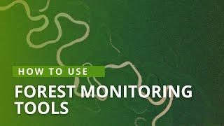 How to use Forest Monitoring Tools | Mongabay Webinars