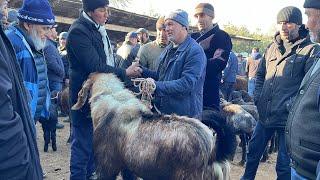 ЯК БУЗИ ГИГАНТ БОЗОРИ ЧУЗИ БОЗОРИ БЕХТАРИН НАРХИ ИМРУЗА ДАРБОЗОР САВДО ЗУРАЙ 15 марта 2024 г.