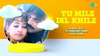 Tu Mile Dil Khile - Club Mix | Dj Chiranjeet Remix | Kumar Sanu | Alka Yagnik | Hindi Remix Song