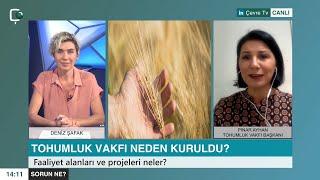 Tohumluk Vakfı Neden Kuruldu, Faaliyet Alanları ve Projeleri Neler?