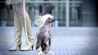 Royal Dutch Guide Dog Foundation: Harness