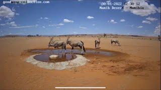 When sands start moving like waves - Timelapse