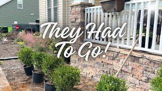 Front Flowerbed Makeover: Replacing Sick Hydrangeas with Beautiful Boxwoods | Part 1 