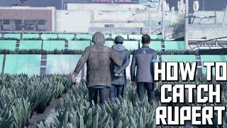 Detroit Become Human How to Catch Rupert