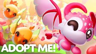 It's Nearly VALENTINE'S DAY! Spread The LOVE With The CUPID DRAGON! Adopt Me! Update Trailer