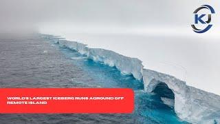 A23a World's Largest Iceberg Runs Aground Off Remote Island