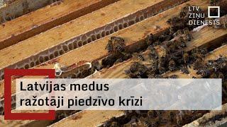 Daļa medus ražotāju nolēmuši pārtraukt darbību