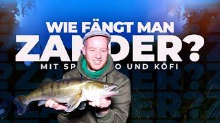 WIE ANGELT MAN ZANDER? - Mit Köfi und Sbirolino zum Erfolg