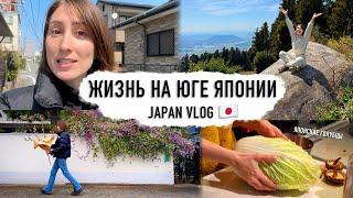 Leaving Tokyo was the right decision! Living in harmony with nature in Japan VLOG