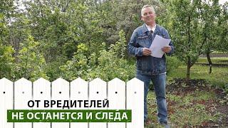 ВРЕДИТЕЛИ ПОД КОНТРОЛЕМ! Как защитить будущий урожай от вредителей? Ответы на вопросы