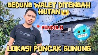 GEDUNG WALET DITENGAH HUTAN LOKASI PENDOLO PUNCAK GUNUNG