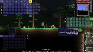 Linsane Gamer - Terraria on Xbox - How to "remove" your pet and hide your equipment