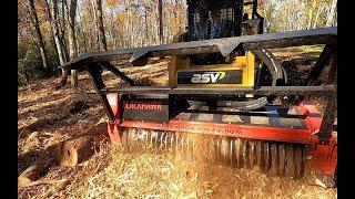 Forestry Mulching after Storm