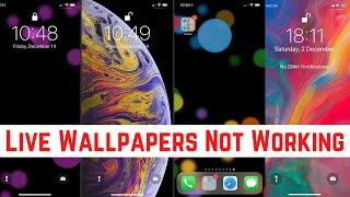 How to Fix Live Wallpaper Not Working On iPhone & iPad ( Live Wallpaper Not Working IOS 15 Fixed )