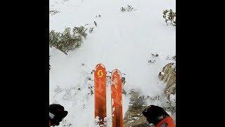 Buttery Smooth Powder at Snowbird, UT on Mar. 7th, 2019