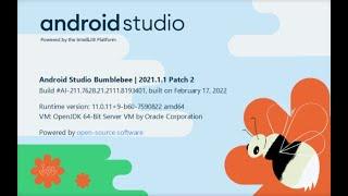 Android Studio - Bumblebee | 2021.1.1 | What's new | Android App