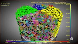 A demo of pore analysis in Dragonfly