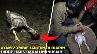 SUNT1K V1RuS KE AYAM POTONG HIDUP KEMBALI LAYAKNYA ZOMBIE!!