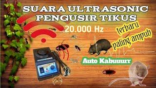 Suara Pengusir tikus paling ampuh 2023 | ultrasonic pengusir tikus, nyamuk, kecoa 20.000 Hz